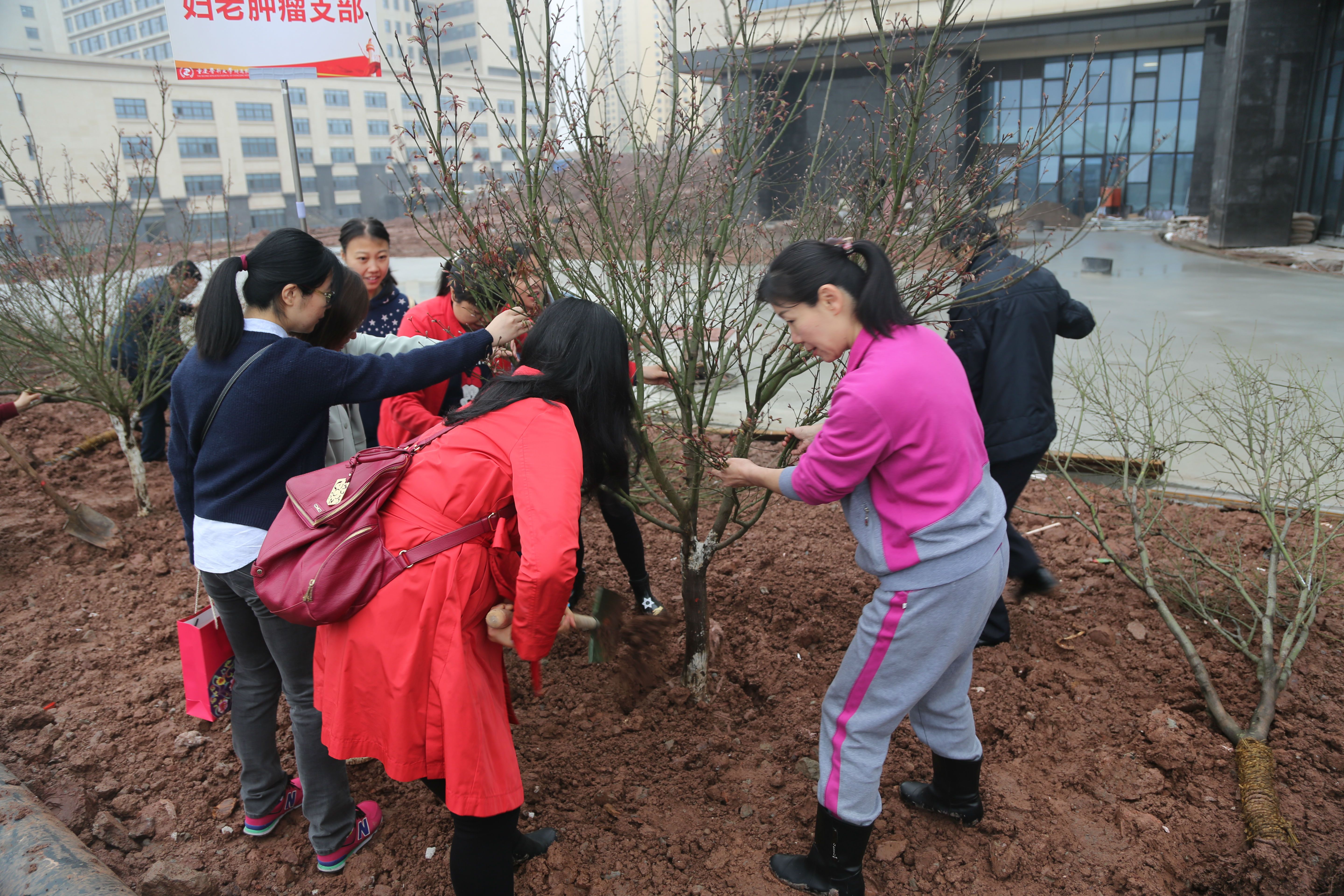 811a2130.jpg 811a2130.jpg