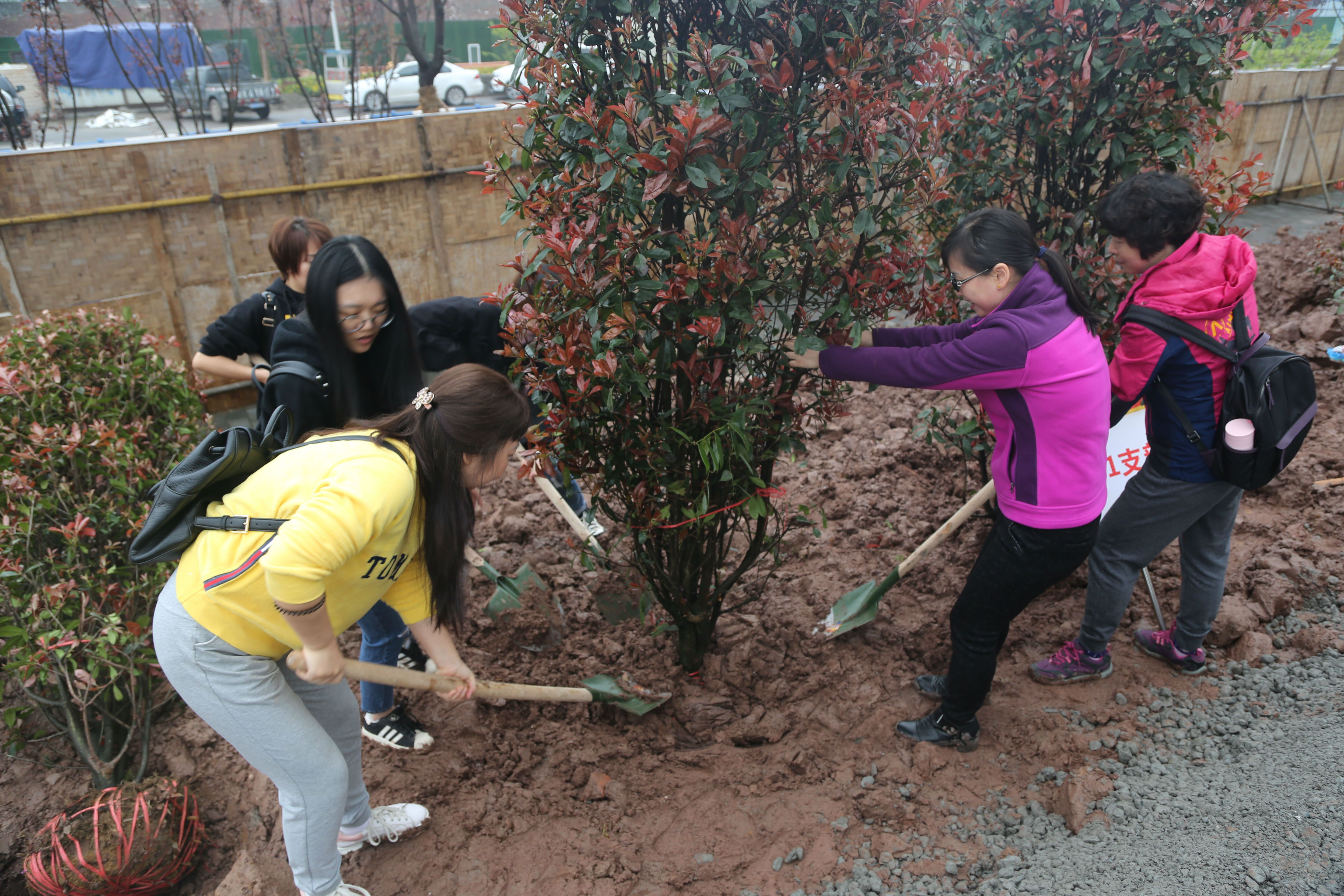 811a2150.jpg 811a2150.jpg