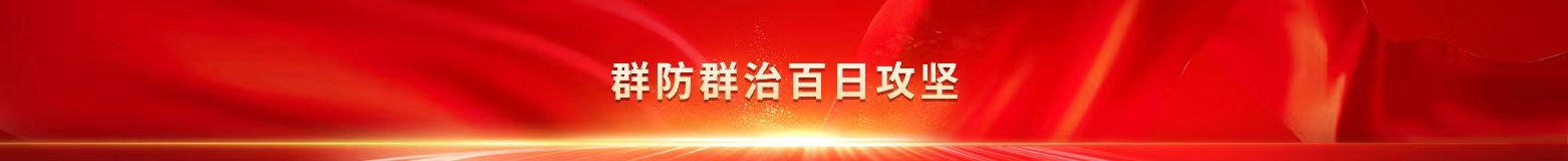 群防群治百日攻坚