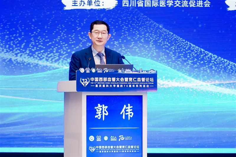 图片 11