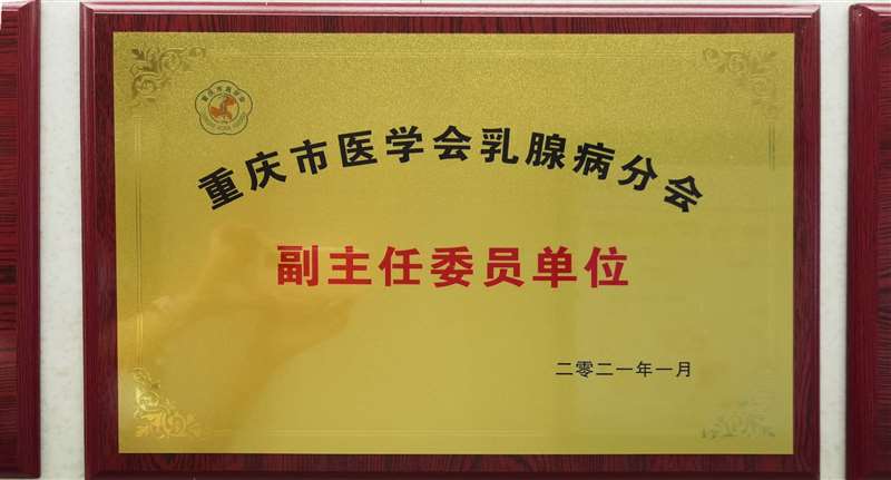 重庆市医学会乳腺病分会副主任委员单位_Jc